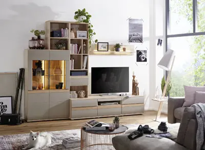 Wohnwand mit TV, Regal, beleuchteter Vitrine, Sofa und weißer Katze im Wohnzimmer
